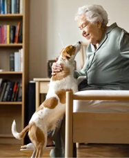 An elderly woman is holding a small dog in her bedroom. AI generated content